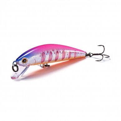 Jackson TROUT TUNE 55F 1