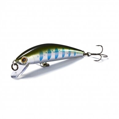 Jackson TROUT TUNE 55F 5