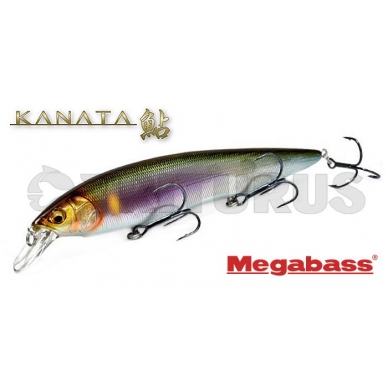 Megabass Kanata 1