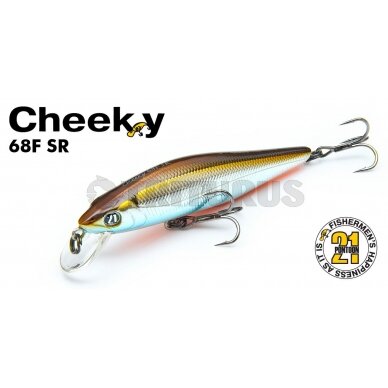 Pontoon21 Cheeky 68F-SR 2