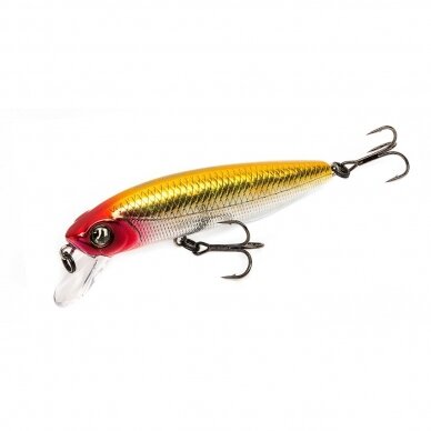 DEXTER MINNOW 93SP-SR 1