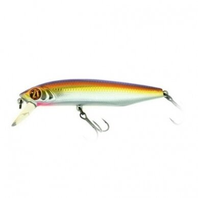 DEXTER MINNOW 93SP-SR 6