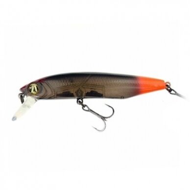 DEXTER MINNOW 93SP-SR 8