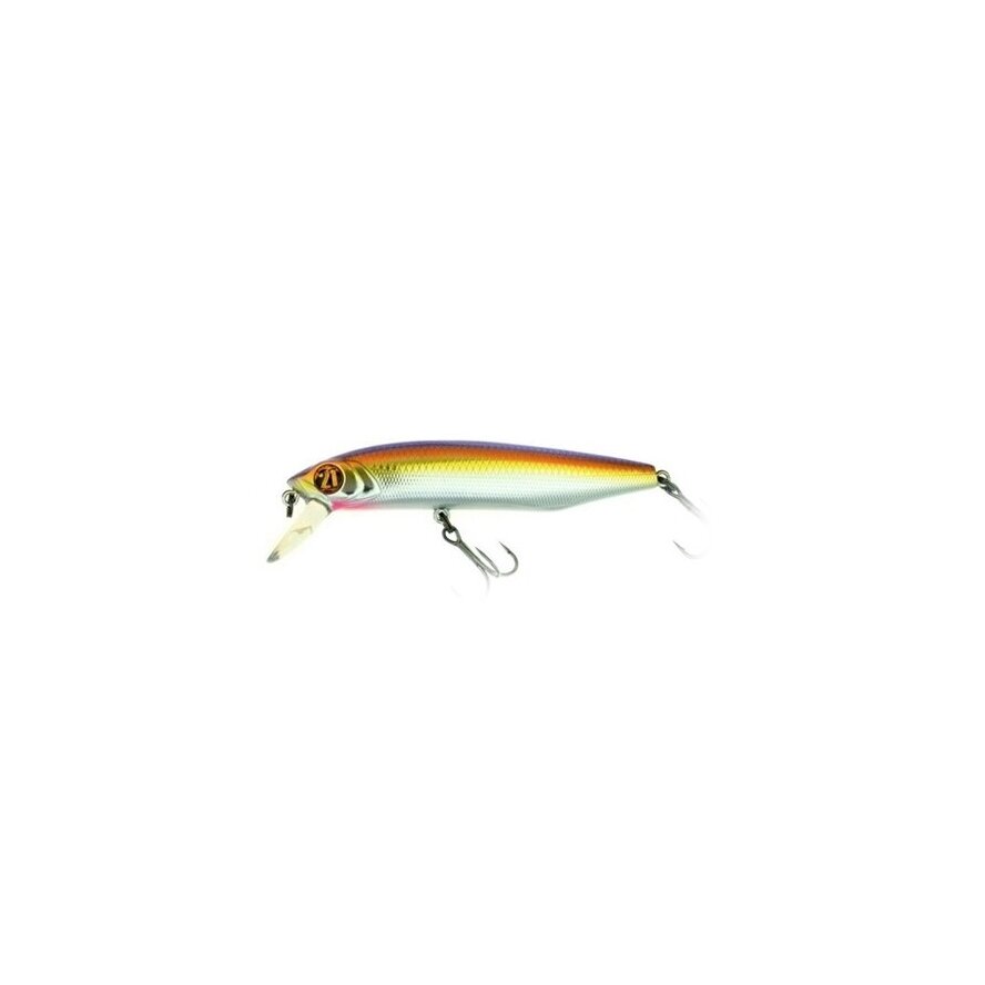 DEXTER MINNOW 93SP-SR