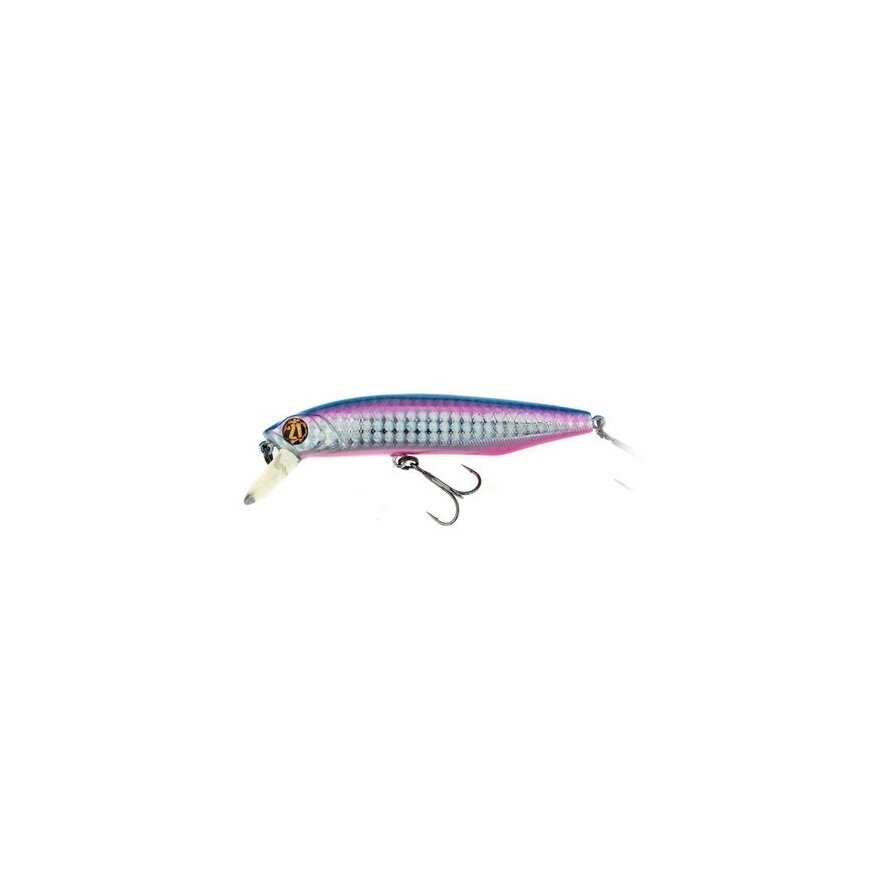 DEXTER MINNOW 93SP-SR